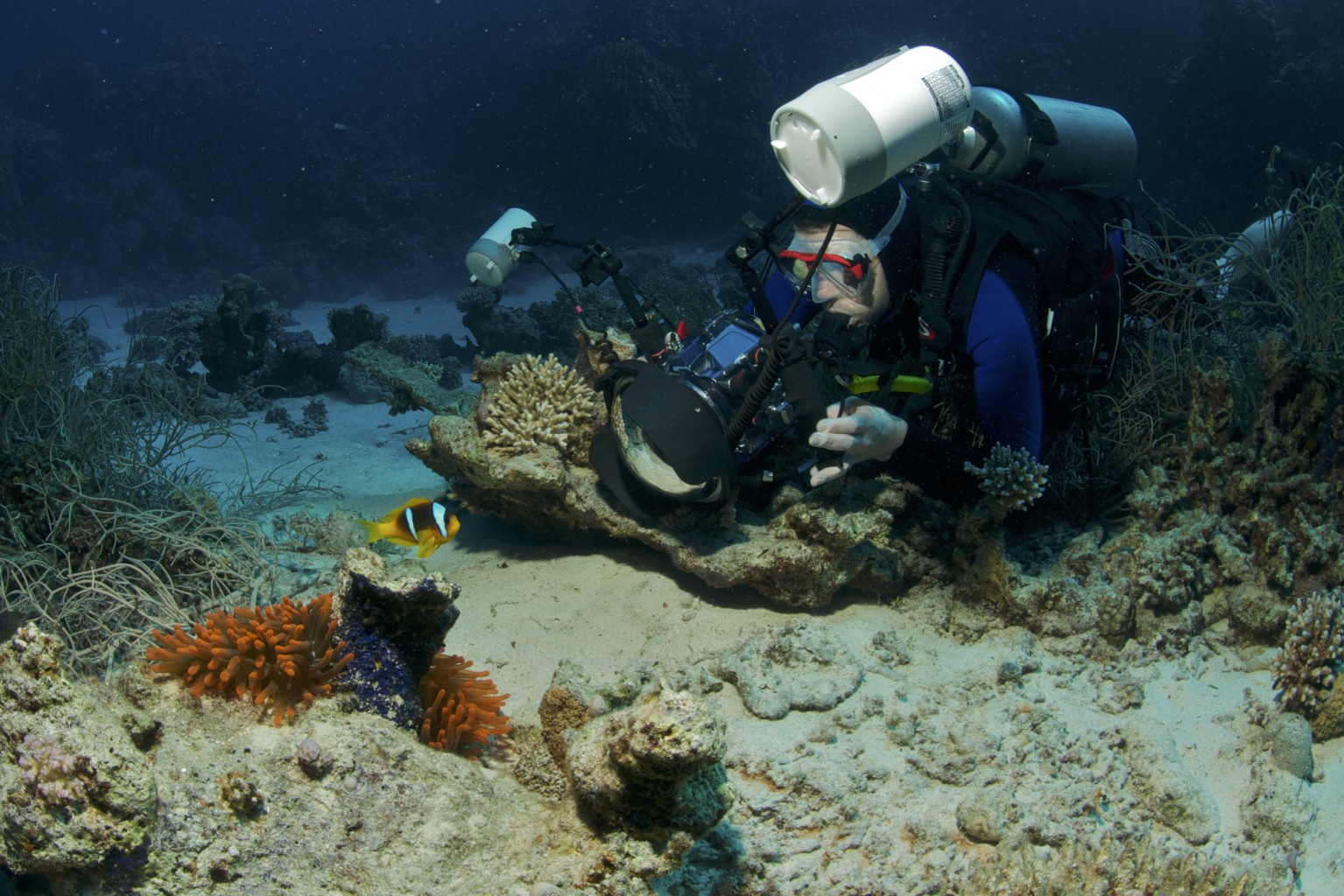 Underwater Photographer, Marsa Shagra Reef, Red Sea, Egypt