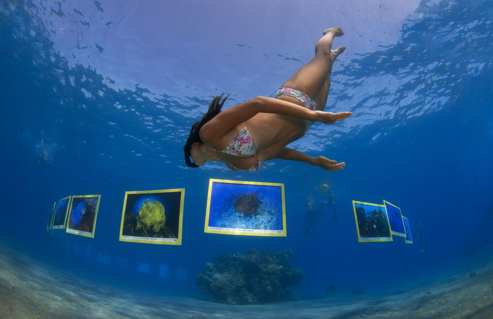 Treasures of the Sea Underwater Picture Exhibition, Red Sea - Eilat, Israel