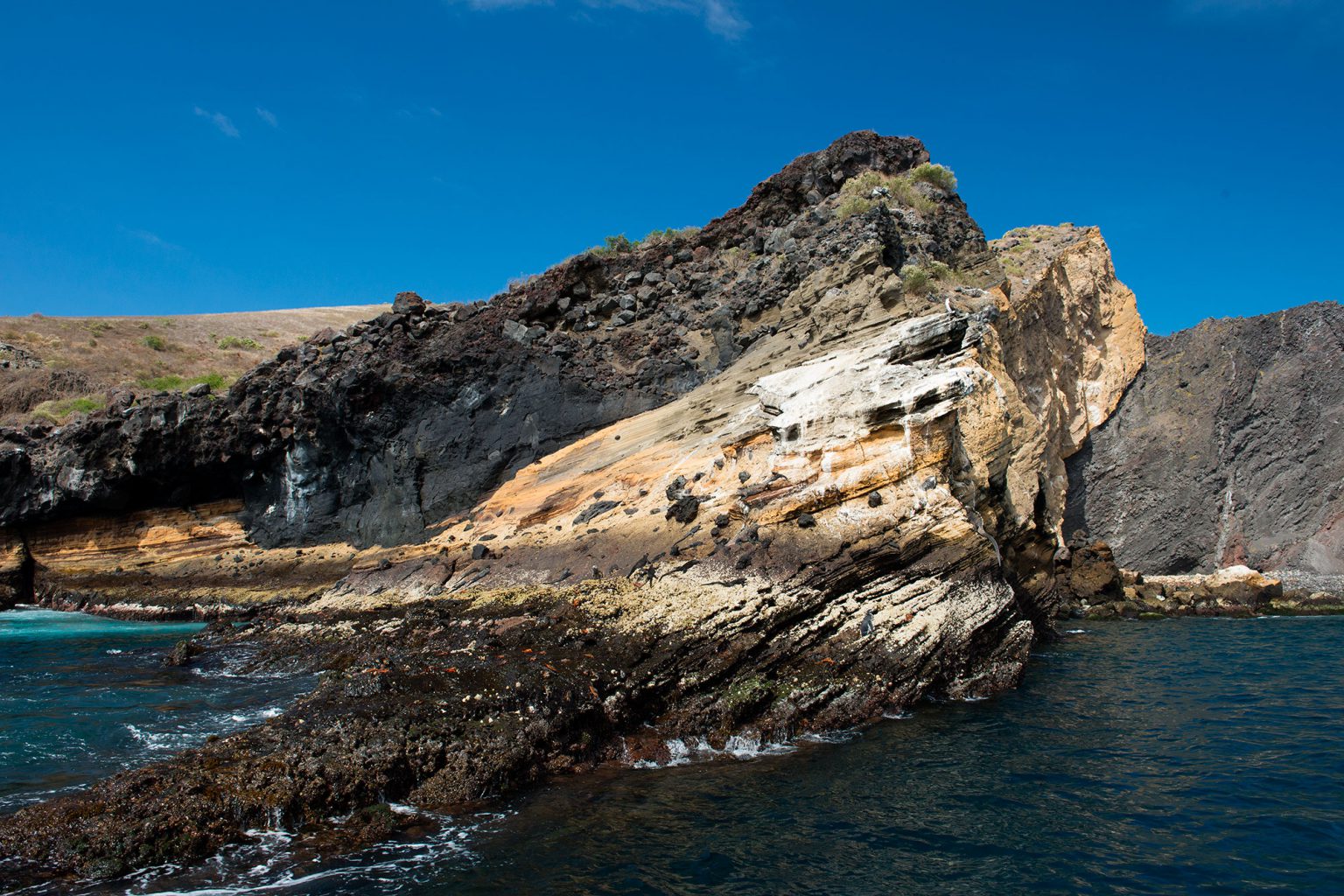 Galapagos Islands - Punta Vicente Roca