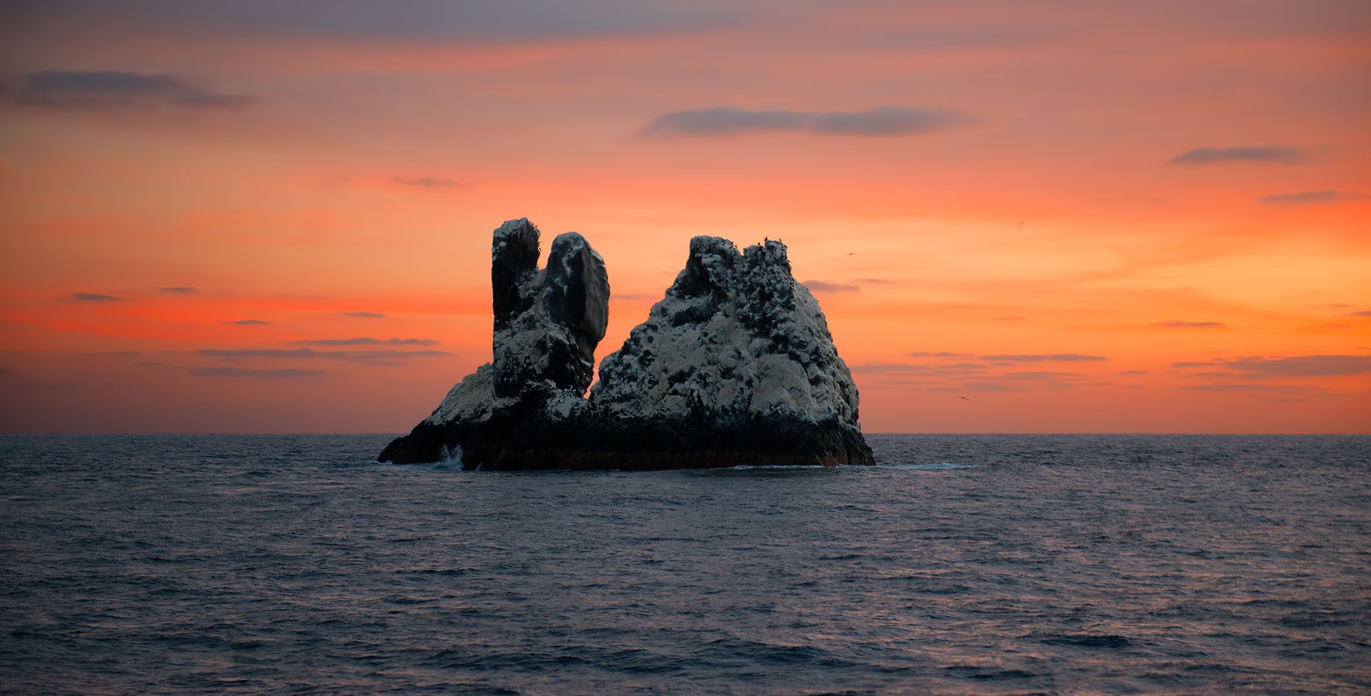 Roca Partida Revillagigedo ( Socorro ) Islands, Mexico