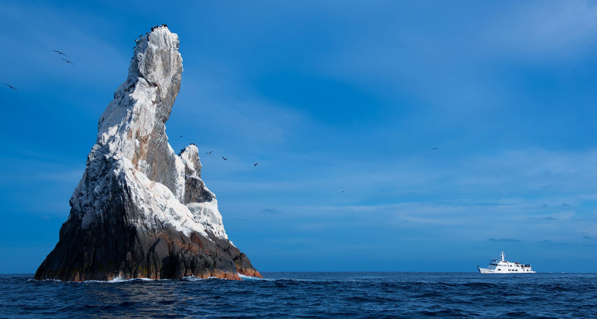 Roca Partida Revillagigedo ( Socorro ) Islands, Mexico