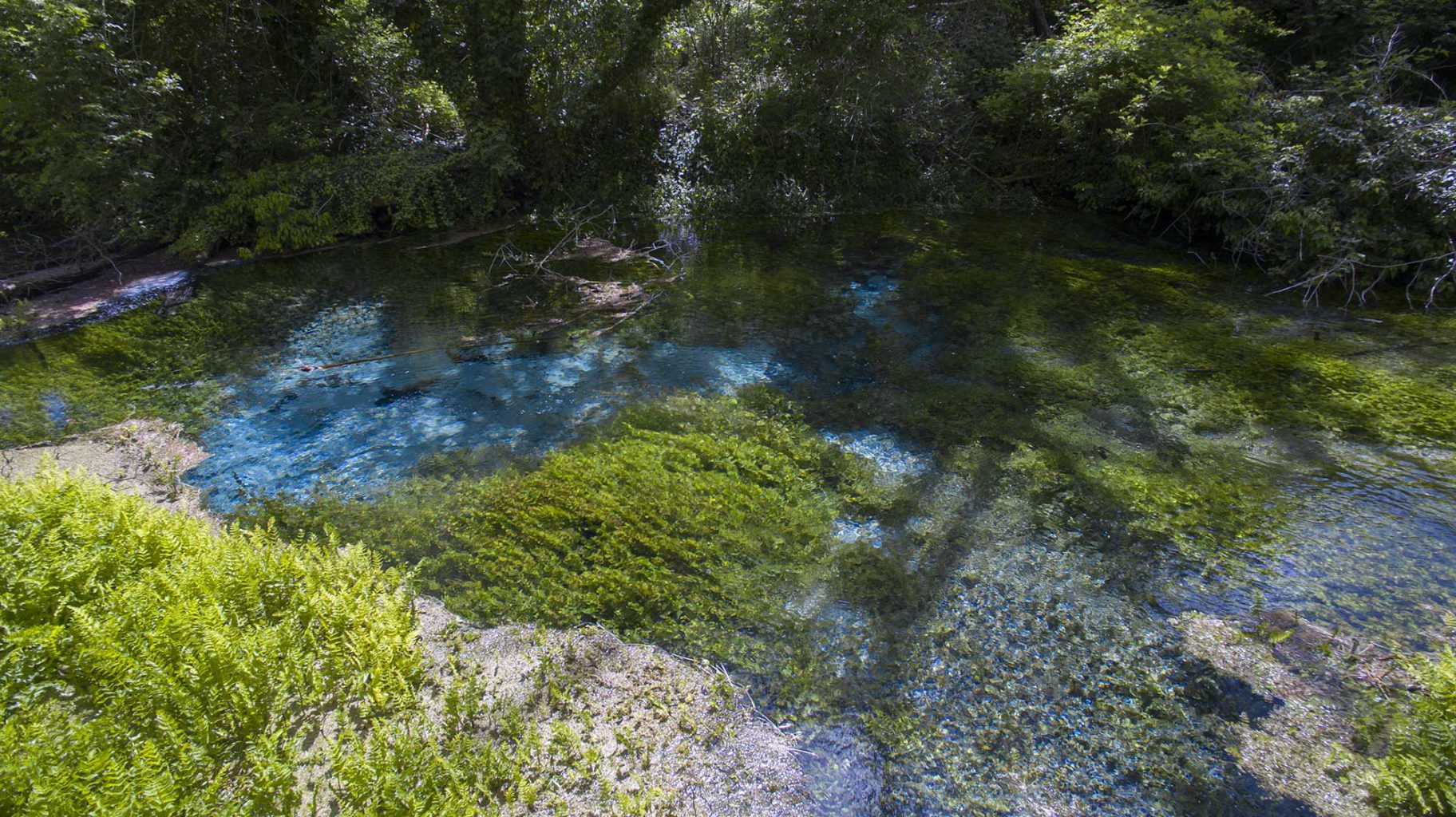 Sweet Water Spring dive at Capestrano, Abruzze Mountains