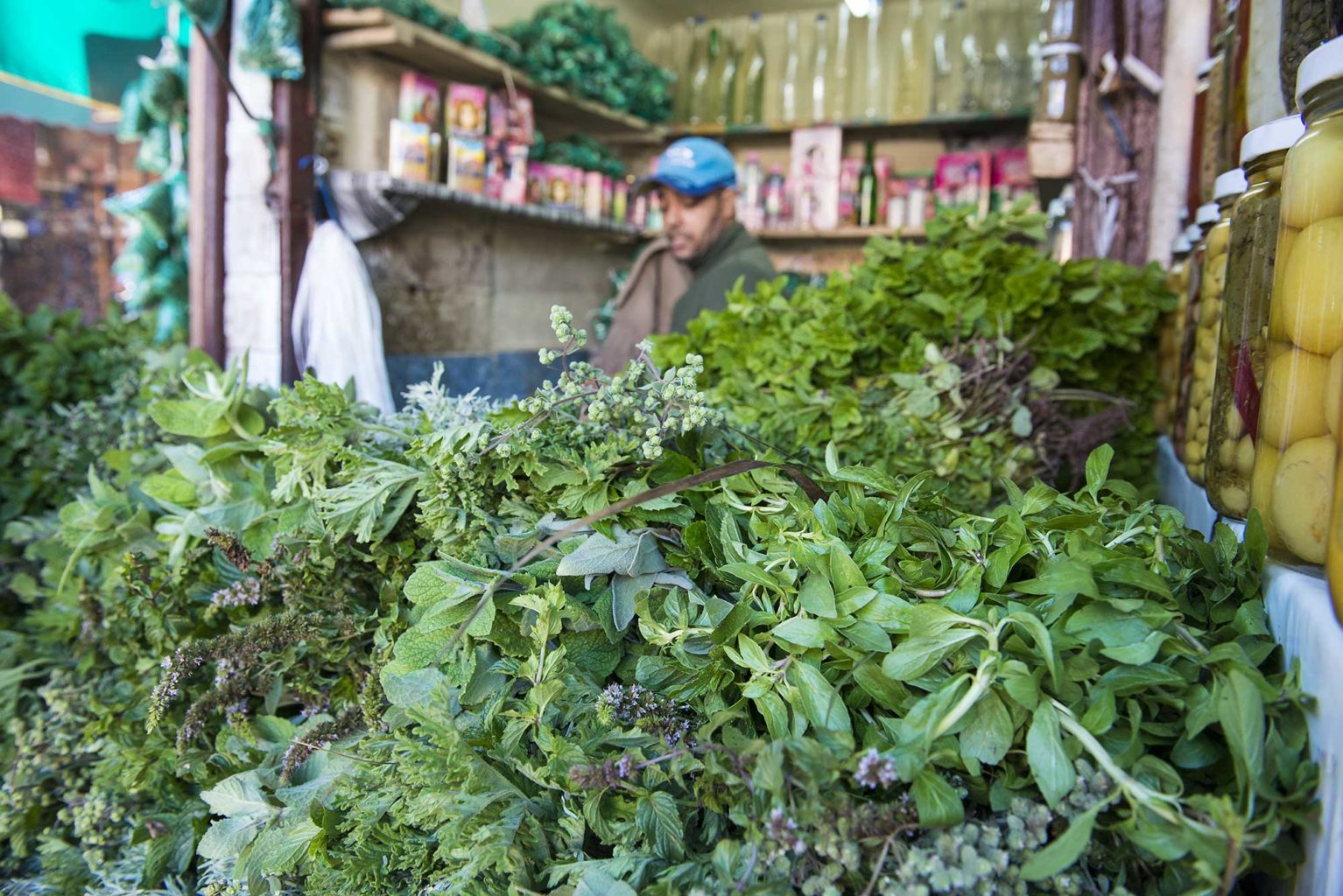 Herbs of Morocco