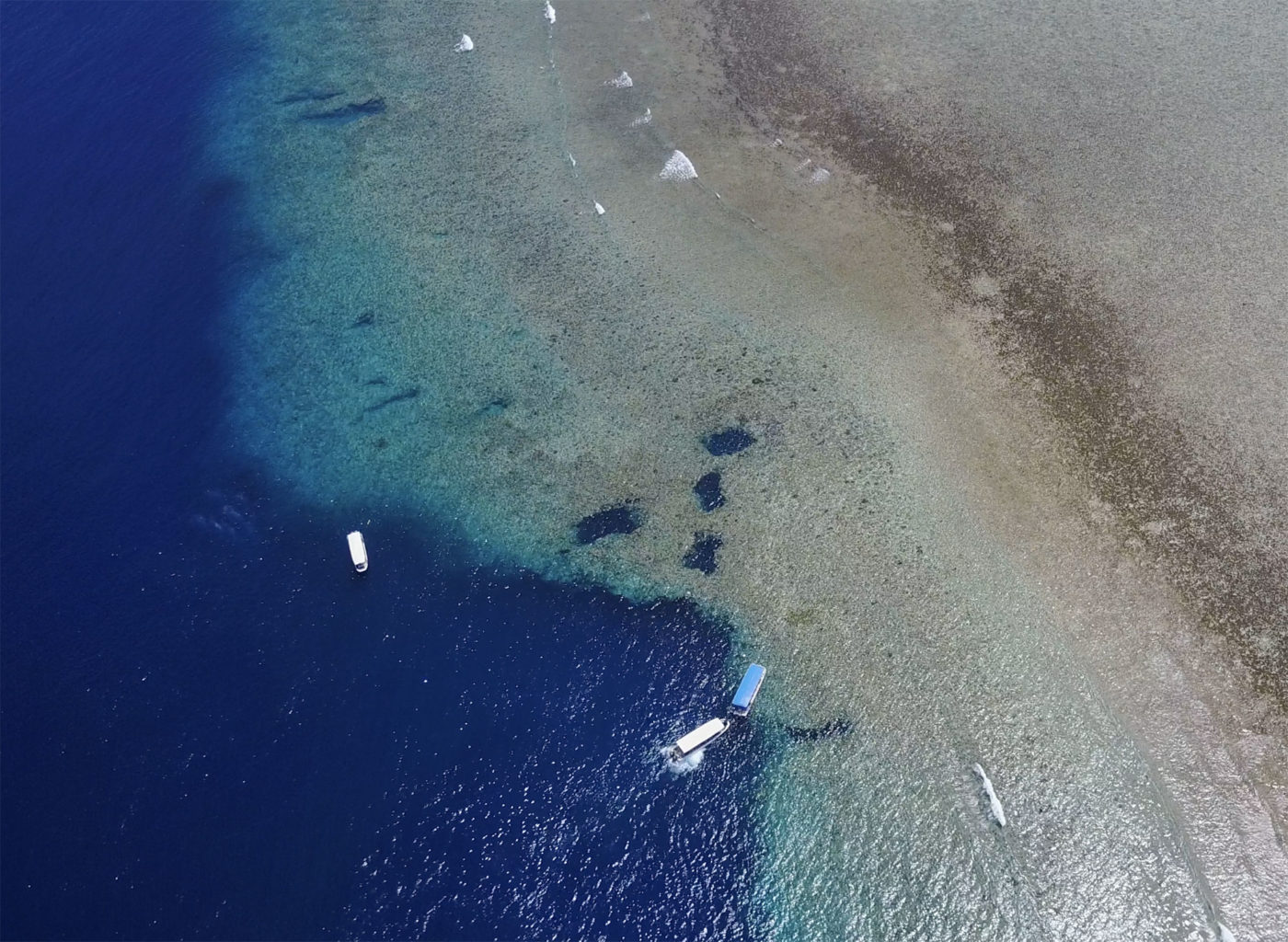 Blue Corner Drone Image Dive Site Palau